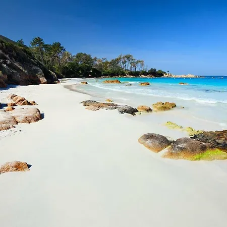 Appartement Acqua Linda Porticcio (Corsica)